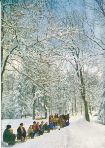 Góry Stołowe - 018674