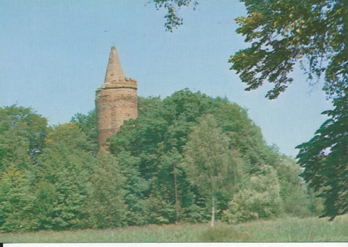 IMG_0107.jpg