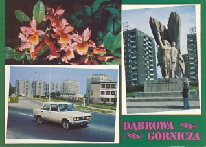 Dąbrowa Górnicza - 018814