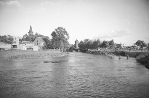 Brodnica - Reprodukcja 37876