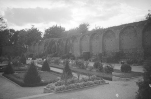 Brodnica - Reprodukcja 37877