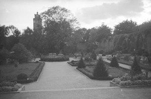 Brodnica - Reprodukcja 37878