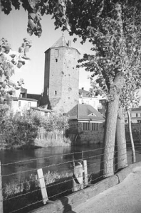 Brodnica - Reprodukcja 37883