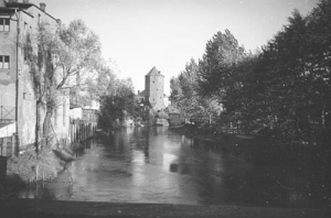 Brodnica - Reprodukcja 37884