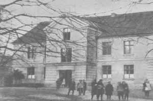 Brodnica - Reprodukcja 37888