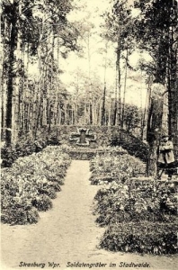 Brodnica - Reprodukcja 37904