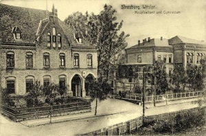 Brodnica - Reprodukcja 37921