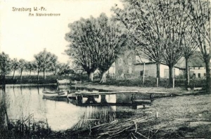 Brodnica - Reprodukcja 37936