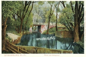 Brodnica - Reprodukcja 37956