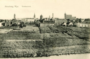 Brodnica - Reprodukcja 37961