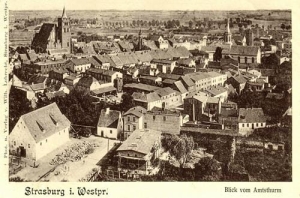 Brodnica - Reprodukcja 37966