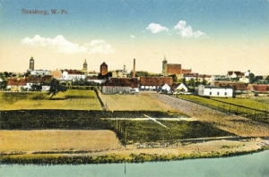 Brodnica - Reprodukcja 37968