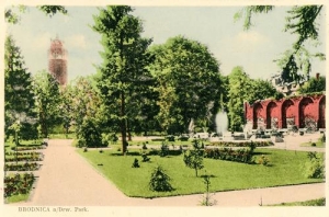 Brodnica - Reprodukcja 37975