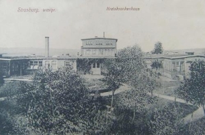 Brodnica - Reprodukcja 37987