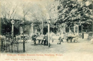 Brodnica - Reprodukcja 37988