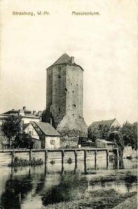 Brodnica - Reprodukcja 38013