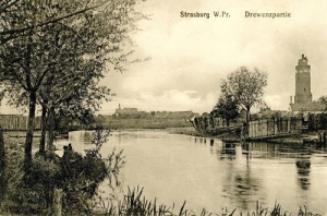 Brodnica - Reprodukcja 38020