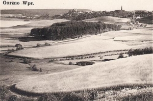 Górzno - Reprodukcja 38030