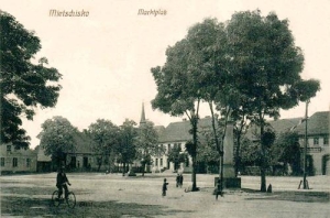Mieścisko - Reprodukcja 38100