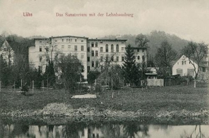 Wleń - Reprodukcja 38161