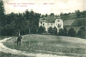 Wleń - Reprodukcja 38228