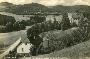 Modrzewie - Reprodukcja 38245