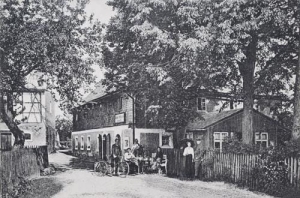Brzeziniec - Reprodukcja 38272