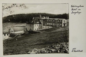 Gierczyn - Reprodukcja 38351