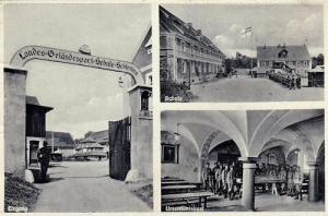 Górczyca - Reprodukcja 38386
