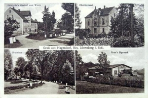 Gradówek - Reprodukcja 38394