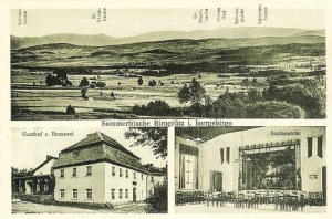Grudza - Reprodukcja 38404