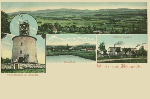 Grudza - Reprodukcja 38416