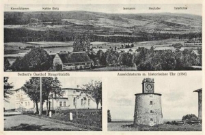 Grudza - Reprodukcja 38417