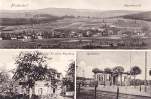 Kwieciszowice - Reprodukcja 38474