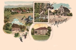 Maciejowiec - Reprodukcja 38481