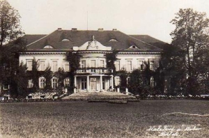 Maciejowiec - Reprodukcja 38486