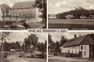 Młyńsko - Reprodukcja 38505