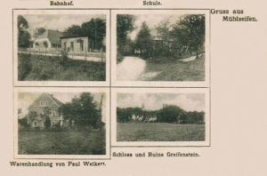 Młyńsko - Reprodukcja 38507