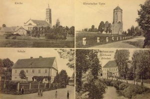 Olszyna Podgórska - Reprodukcja 38536