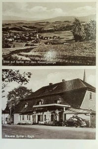 Pasiecznik - Reprodukcja 38558