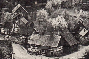 Pławna Dolna - Reprodukcja 38567