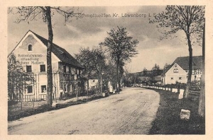 Pławna Dolna - Reprodukcja 38568