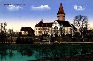 Opole Zamek - Reprodukcja 1035