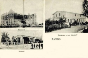 Marzenin widokowa - Reprodukcja 38615
