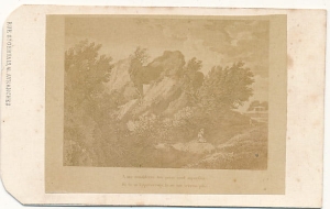 CDV Fotografia wizytowa - 16141