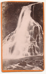 CDV Fotografia wizytowa - 16220