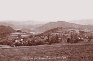 Pokrzywnik - Reprodukcja 38632