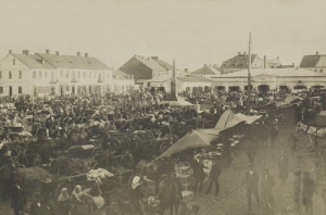 Sokołów Podlaski - Reprodukcja 38772