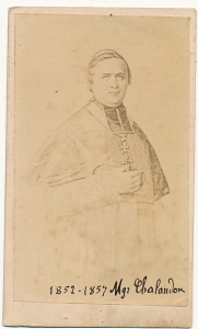 CDV Fotografia wizytowa - 17476