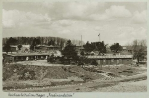 Daleszewo obóz - Reprodukcja 39040